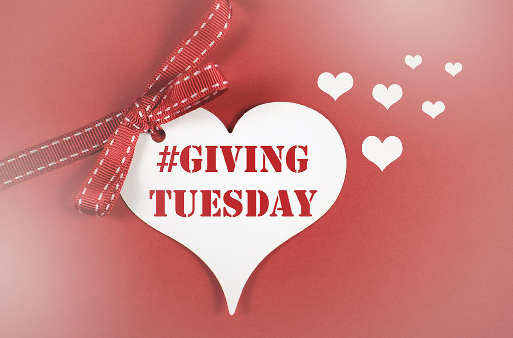 GivingTuesday is November 29, 2016